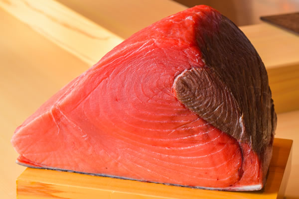 >生の本まぐろに季節の鮮魚。日々厳選される食材たちのイメージ